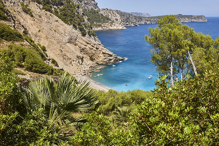 Cala del Coll Baix en los cerca del hotel Condesa