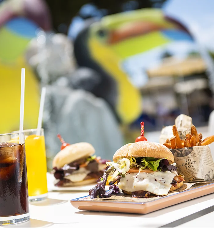 Snack Bar at hotel Condesa Burger and soft drink at the snack bar Hotel Condesa
